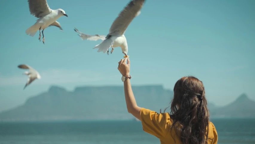 a woman looking at three seagulls in flight