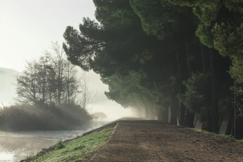 a dirt road lined with green trees next to a lake