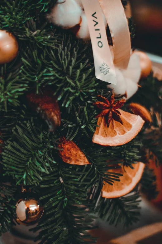 ornaments such as orange slices and orange slices on top of green christmas tree