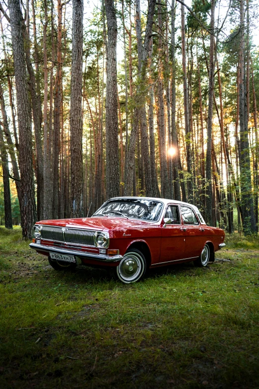 red car parked in a wooded area surrounded by trees