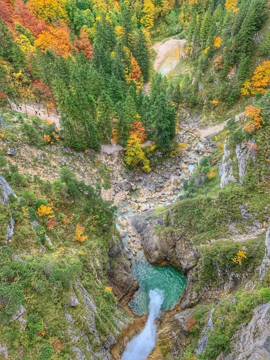 a river cuts through a canyon with colorful foliage