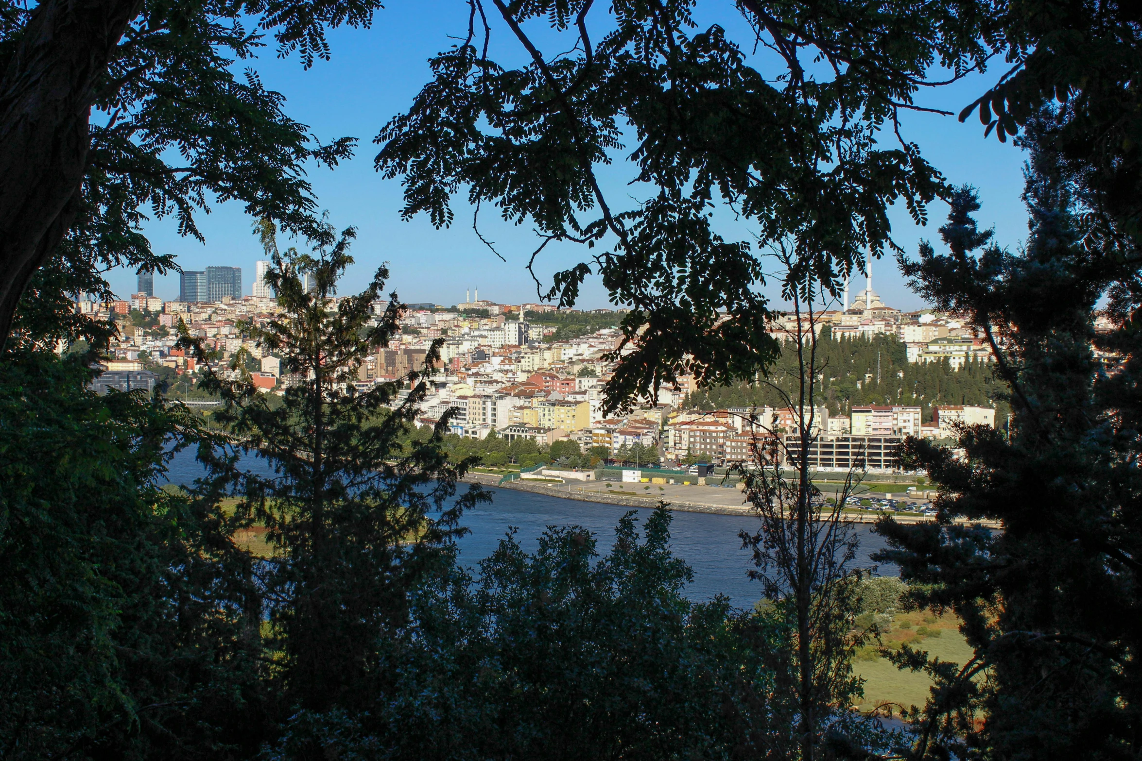 a view of a city from above a tree