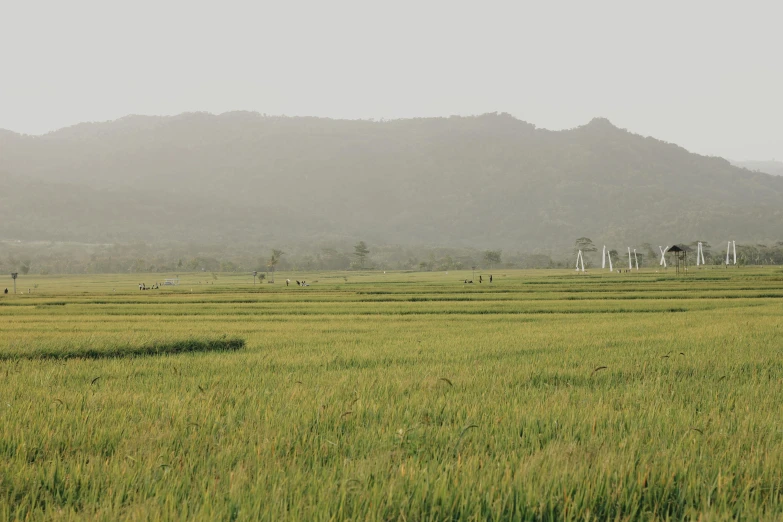 some green grass and hills by a hill