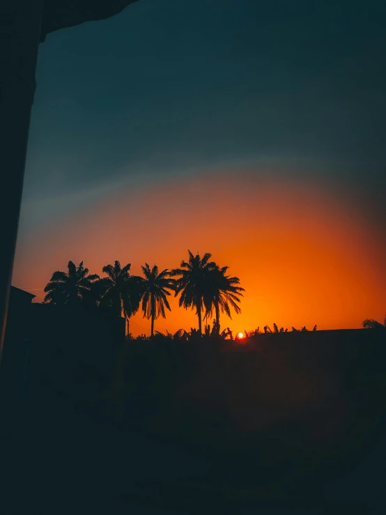 palm trees and a building in the background with the sun setting