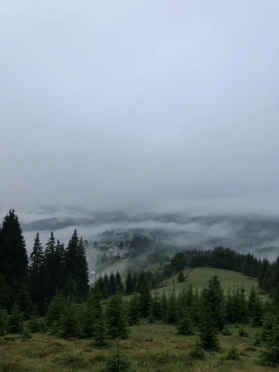 the landscape is covered by thick clouds and fog