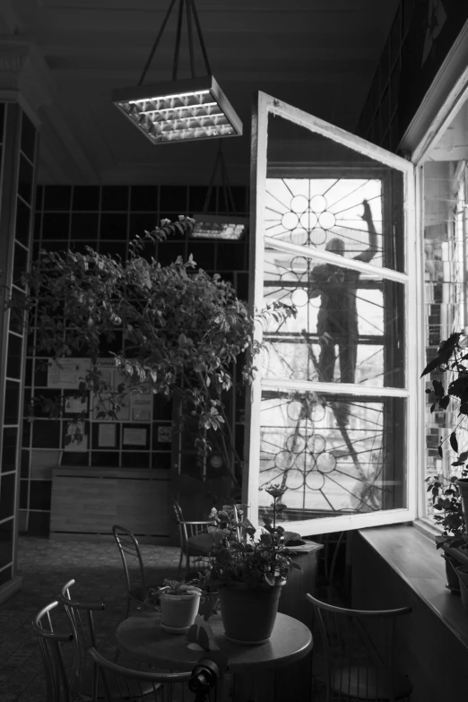 window being blocked by a large tree and some plants