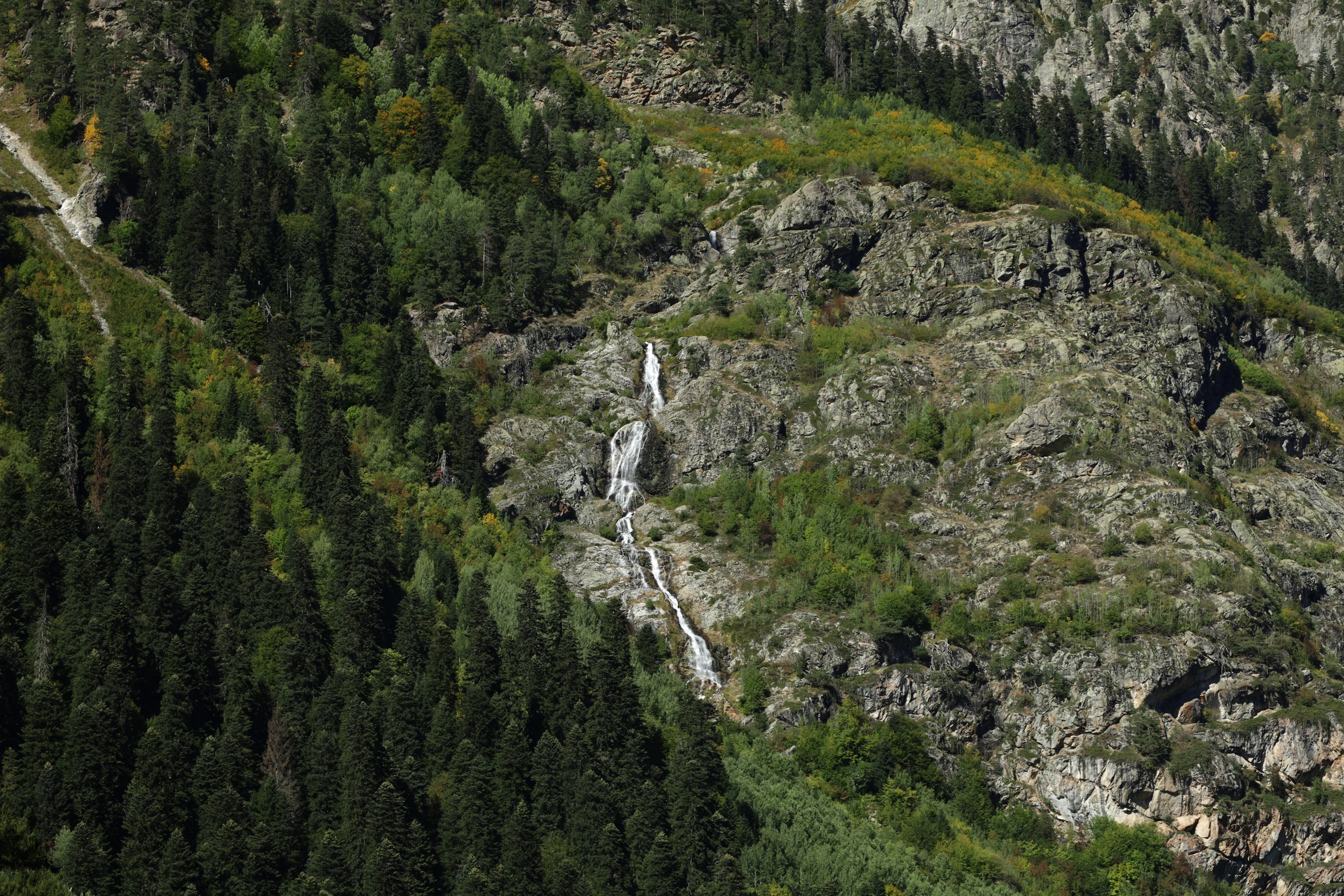 a rock outcropping with a forest on the other side