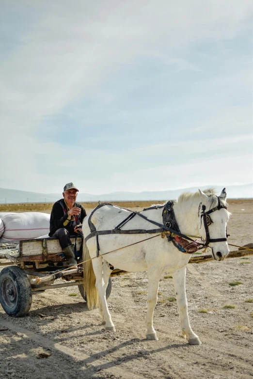 a white horse pulling a cart with a man sitting on it