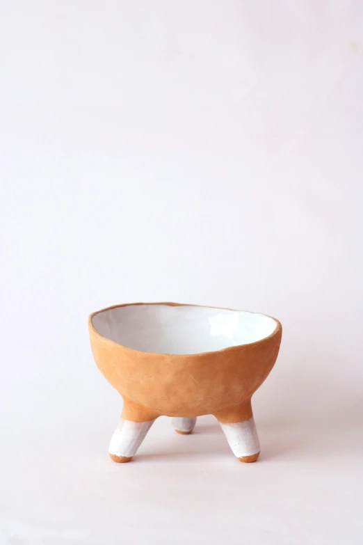 the bowl is on display and in front of a white background