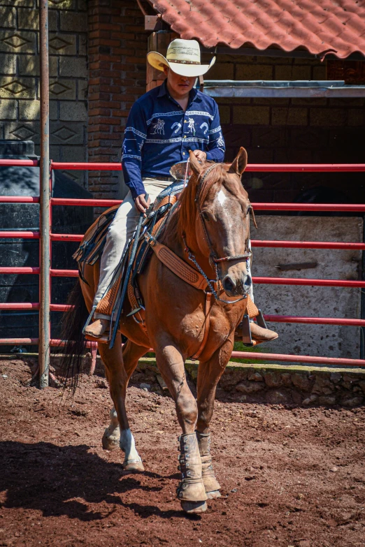 a man in a cowboy hat is riding a horse