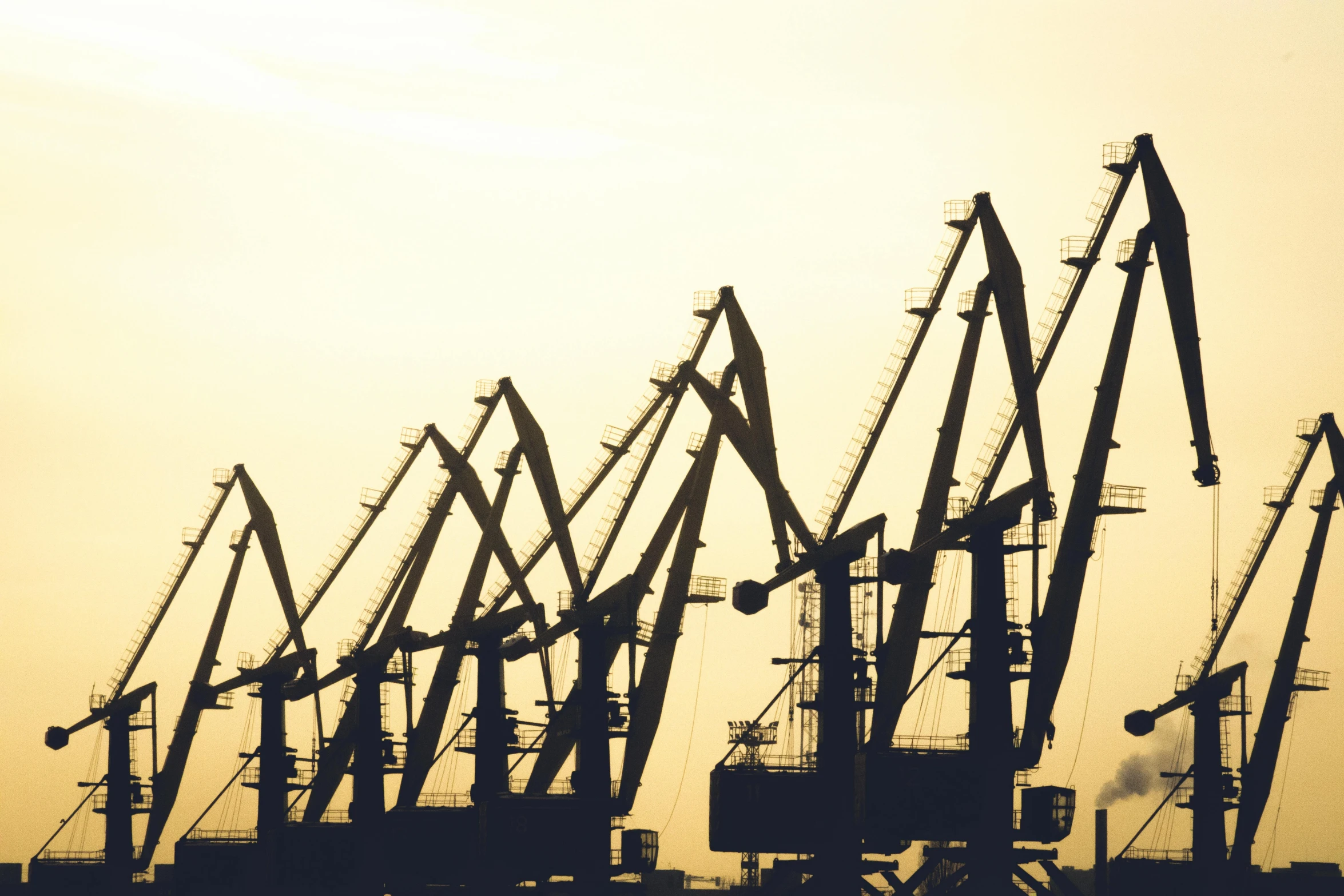 the silhouettes of multiple cranes against a hazy sky