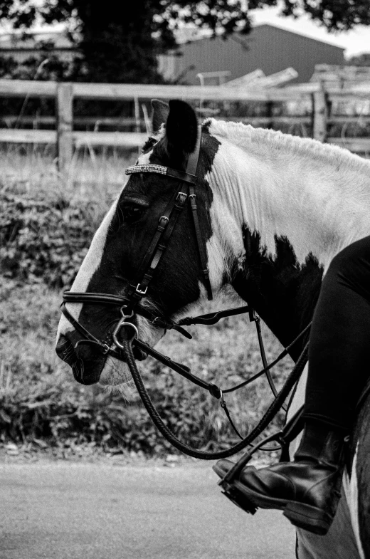 a black and white picture of a person riding a horse