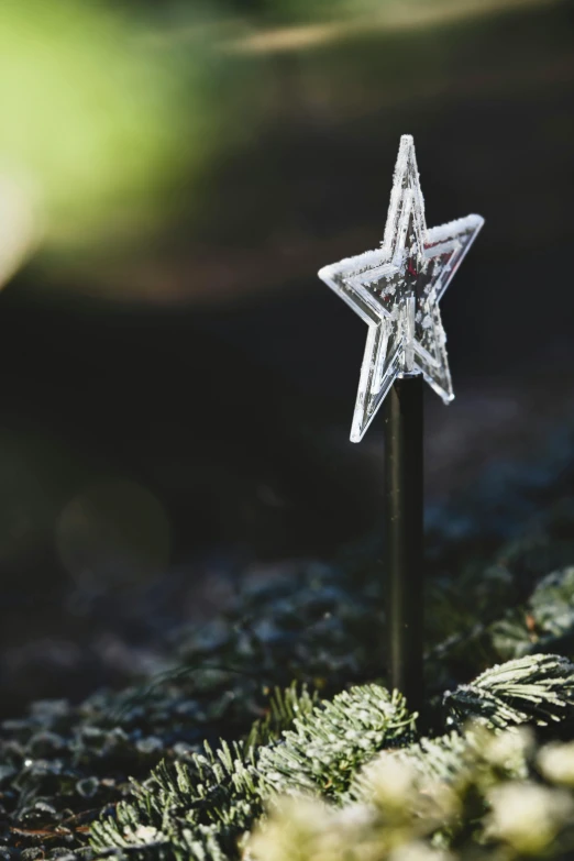 a crystal star sitting on top of a moss covered ground