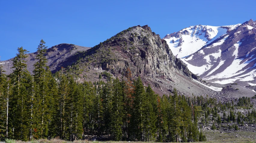 snow capped mountains sitting behind green trees and grass