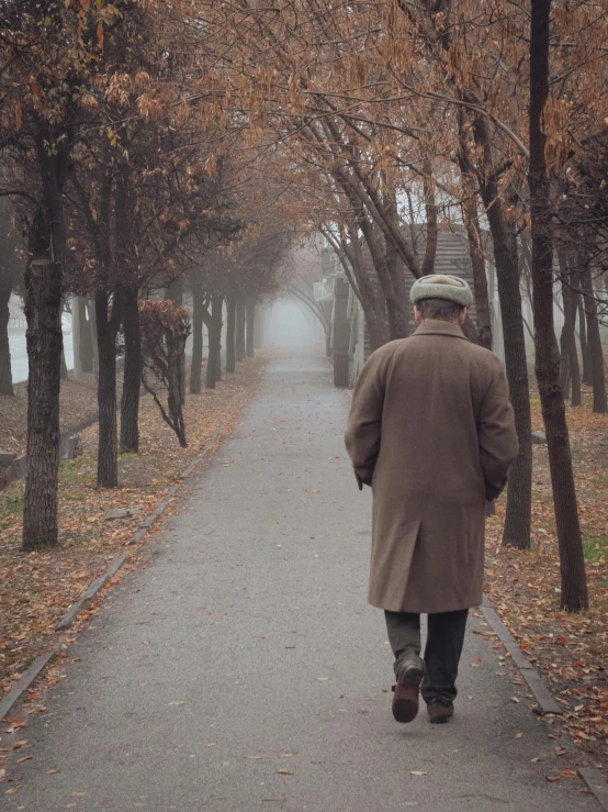 a man walking down a path lined with trees