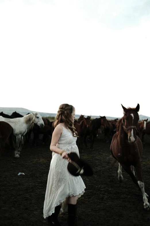 a  standing in front of a herd of horses