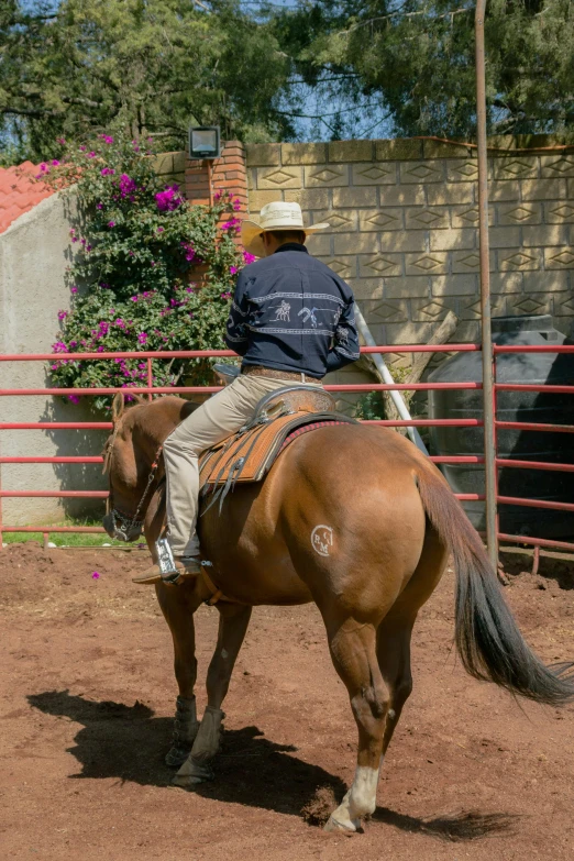 a cowboy rides his horse inside a fenced area