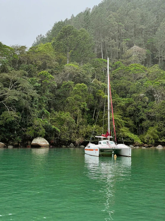 two white sail boats floating in a green river