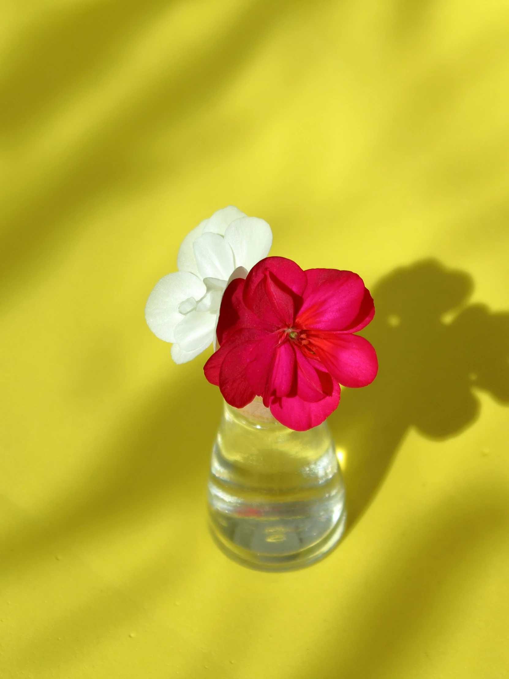 a small vase with two flowers sitting on a yellow table