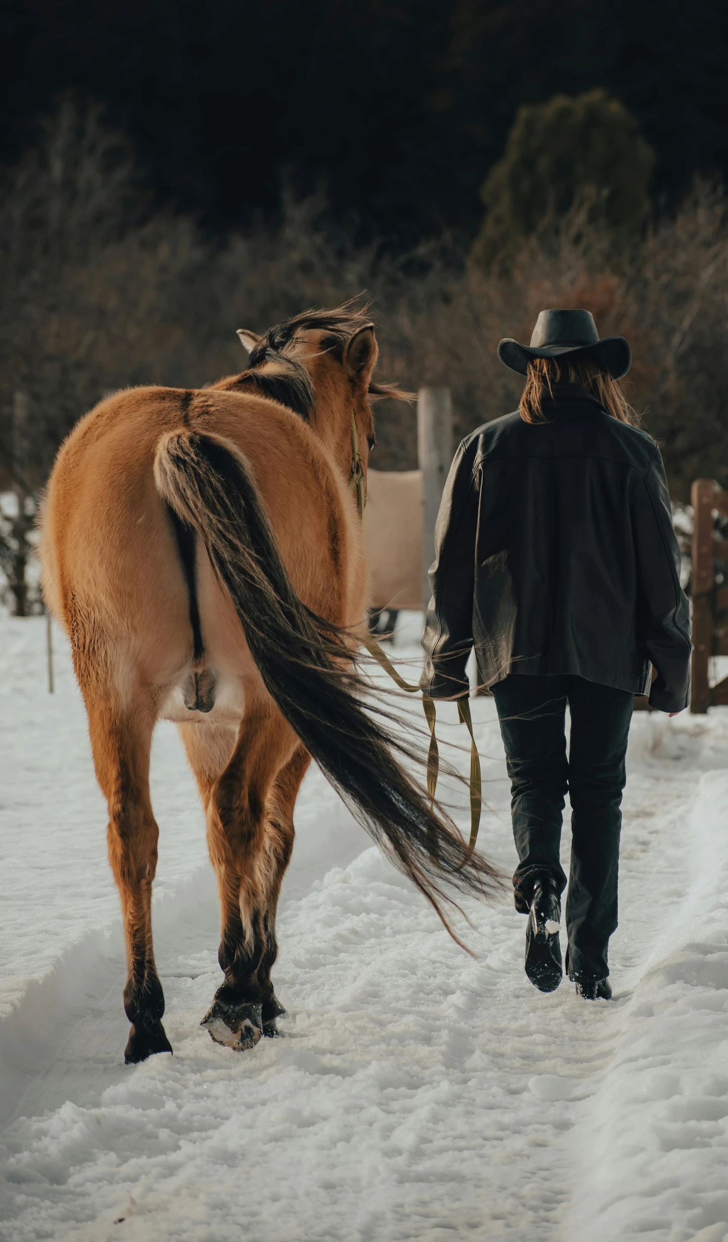 a person leading a brown horse on a snowy road