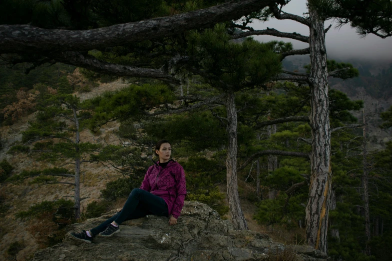 a person sitting on a mountain above some trees