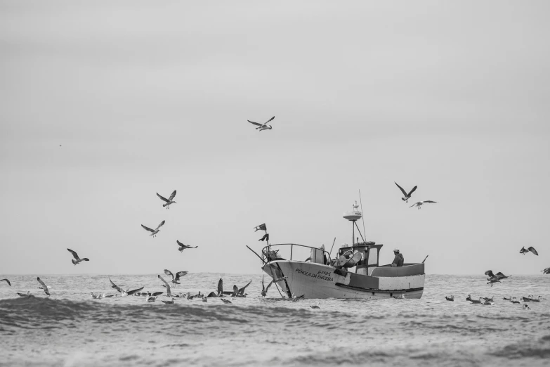 seagulls fly over the top of a fishing boat in a stormy ocean