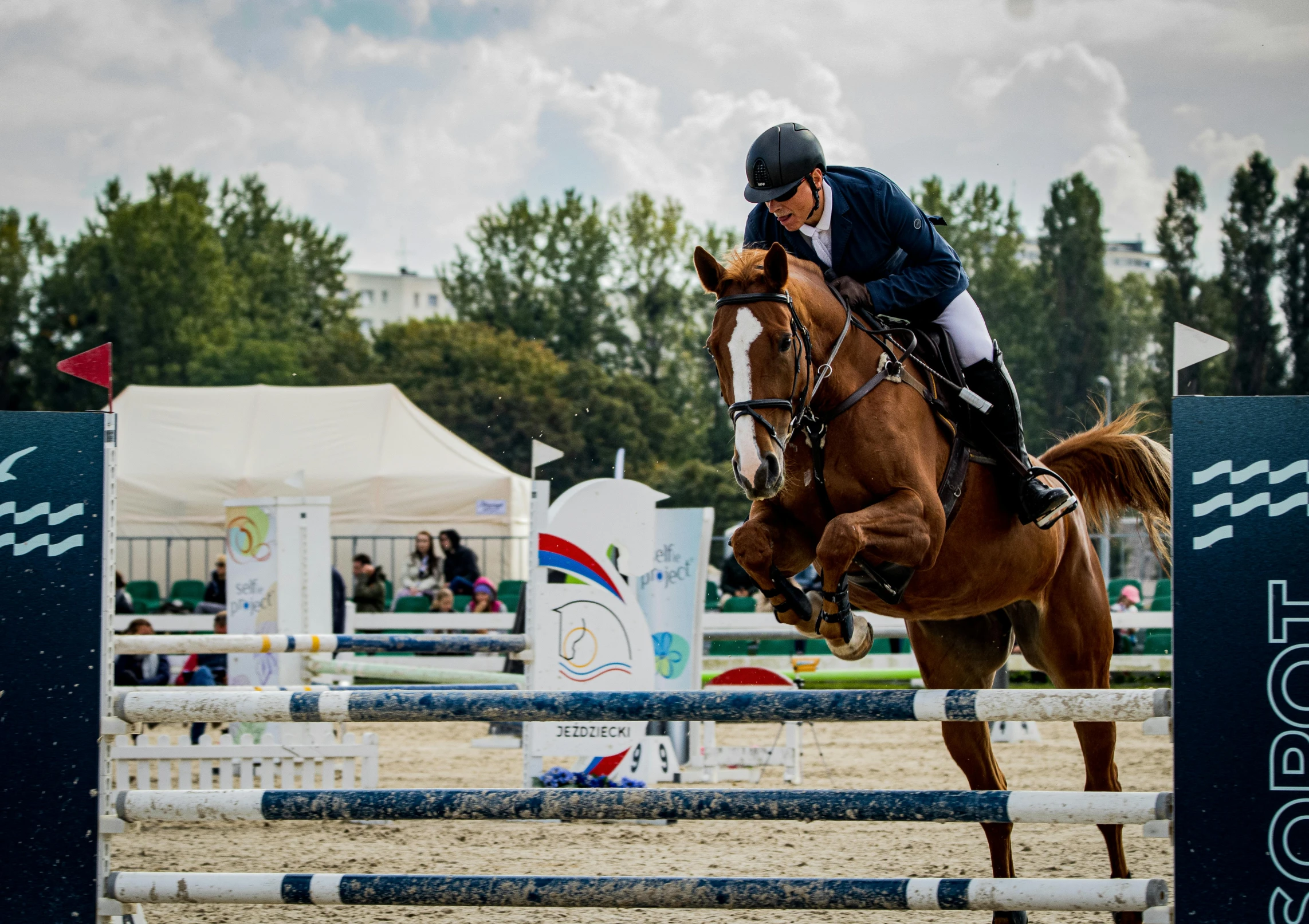 a person on a horse jumping over an obstacle