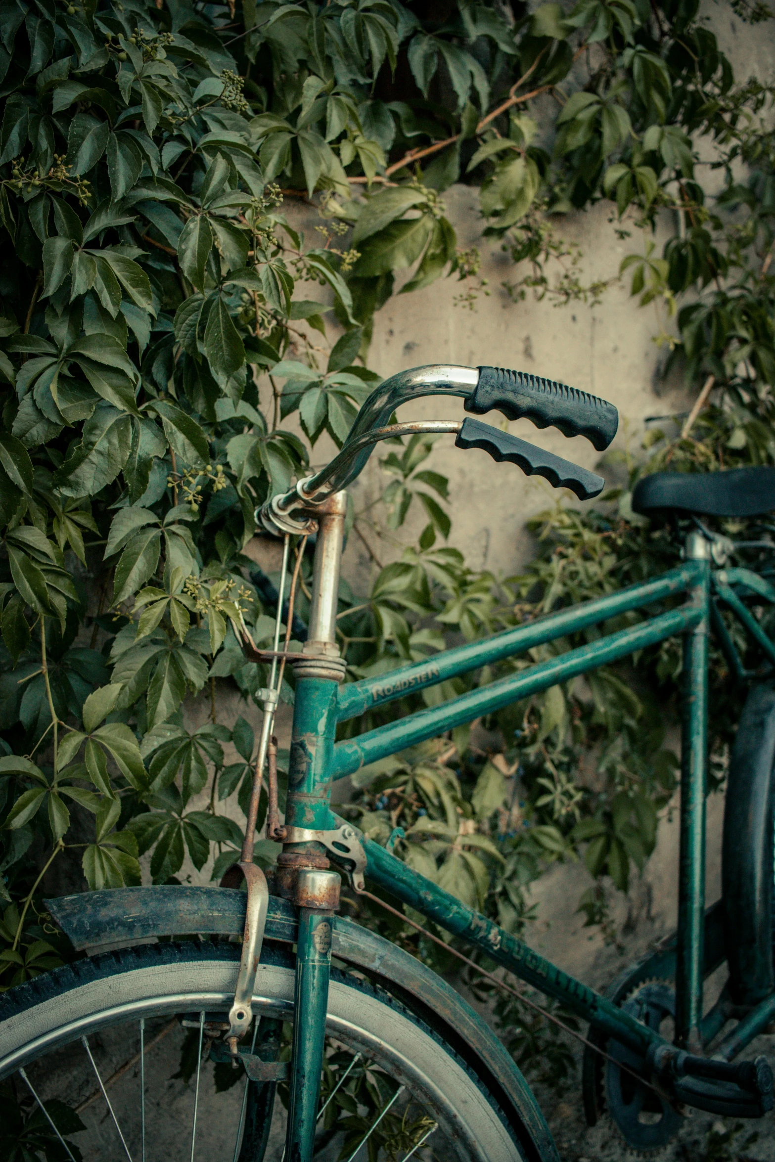a close - up s of a bicycle in front of green bushes