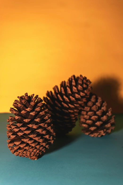 three pine cones laying on top of a table