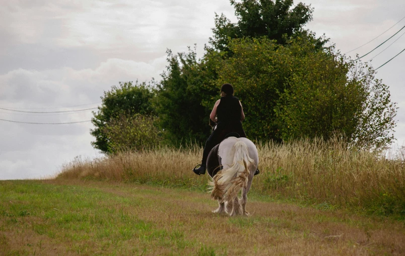 a man is riding a horse and a dog are following it