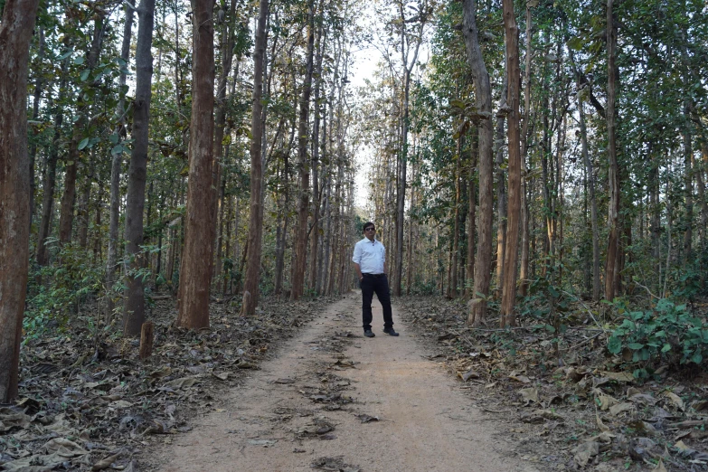 a man standing in the middle of a forest