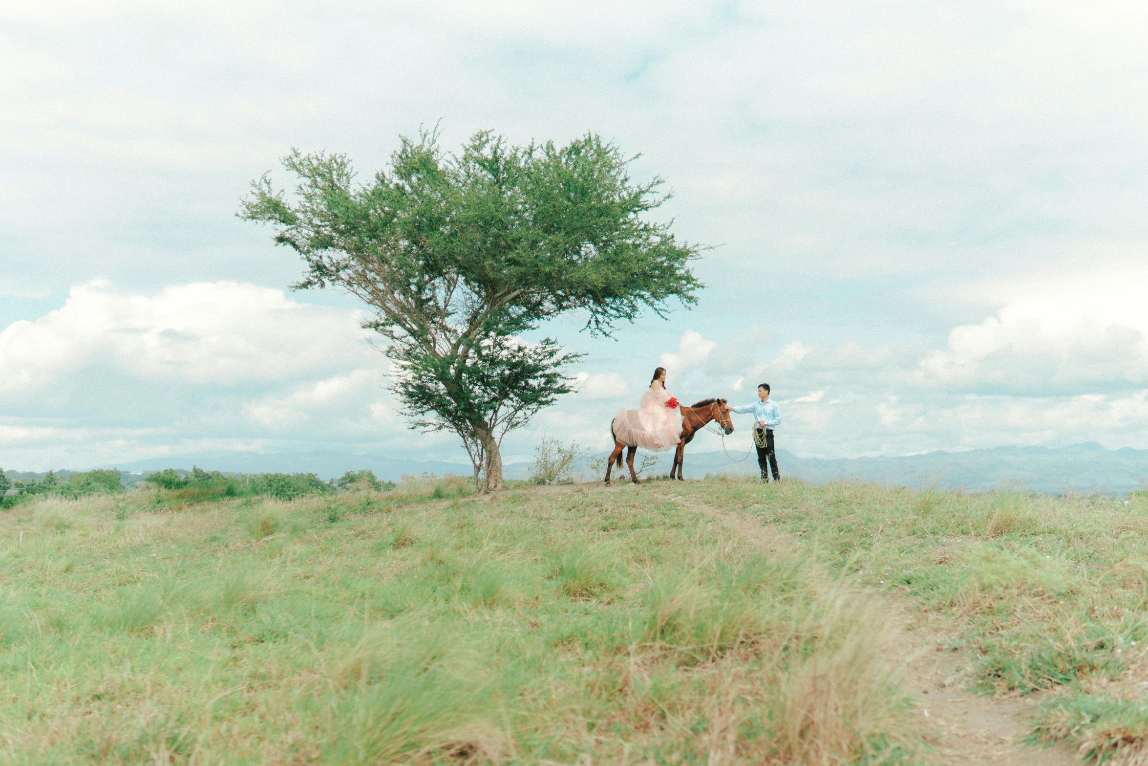 a person and their horse standing under a tree on a grassy hill