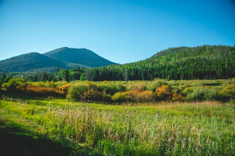 an idyllic scene is shown with mountains in the background