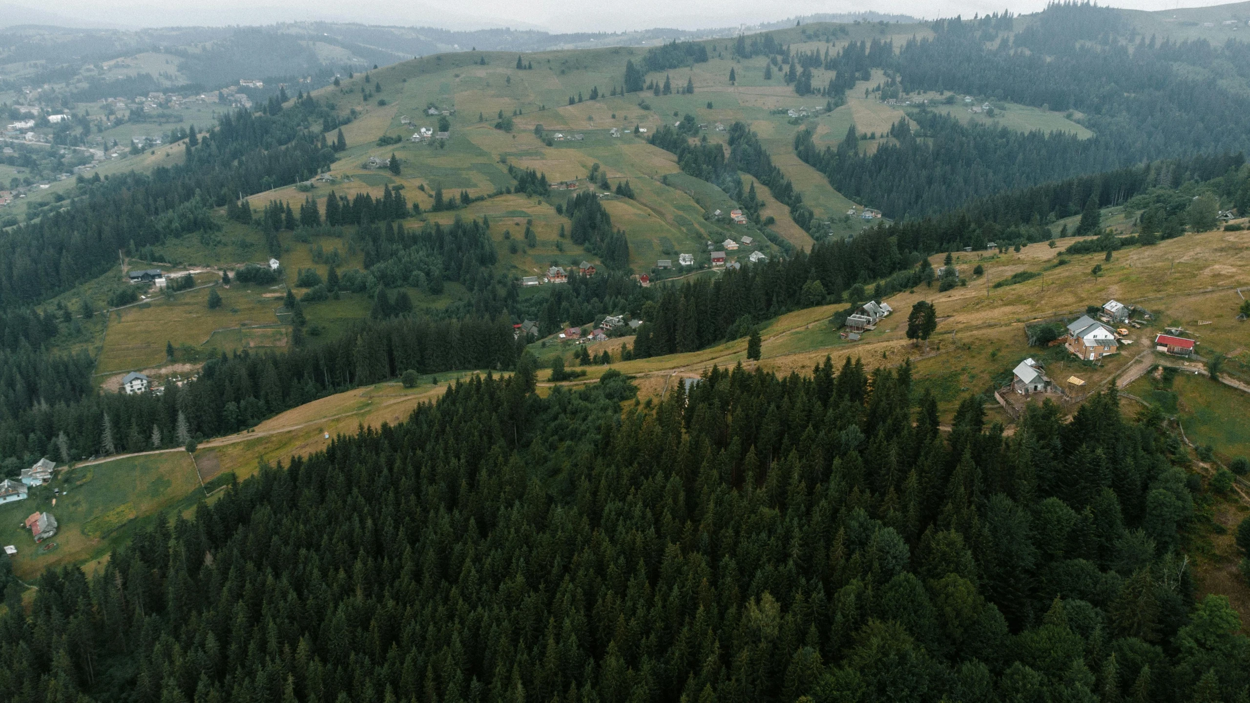 some houses nestled between the trees in a mountain