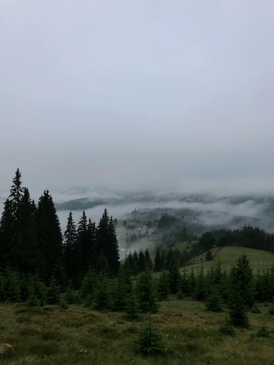 the fog on the ground gives it a very misty landscape