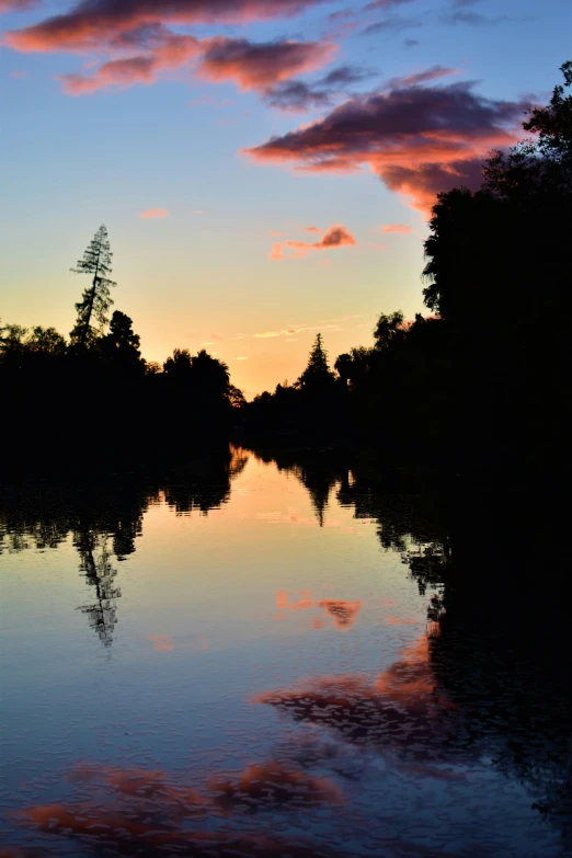 a river at sunset, reflecting the surrounding trees