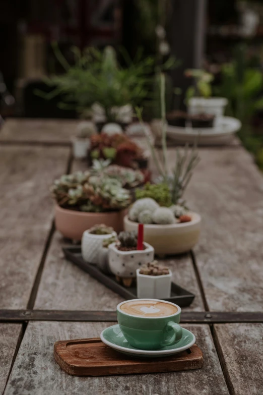 a table topped with dishes filled with plants and cups