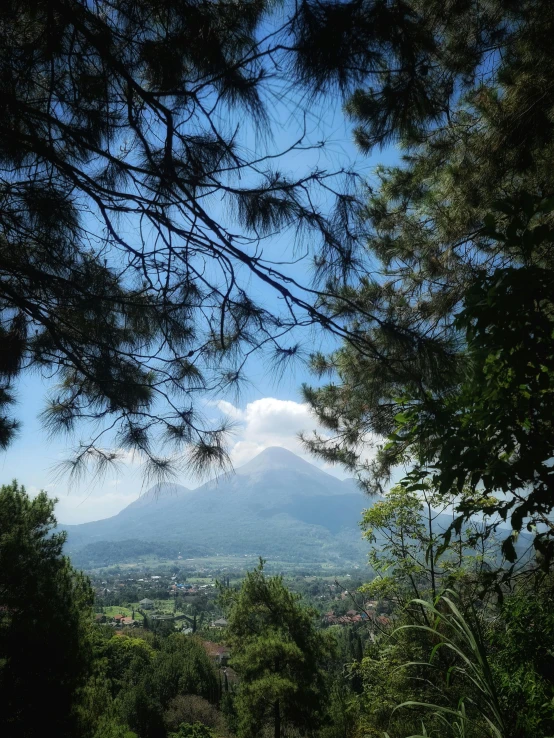 there is an image taken through some trees