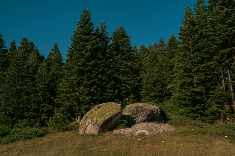 a rock sits near several large rocks with trees in the background