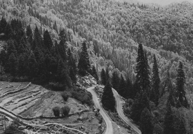 a dirt road winding through trees next to a mountain