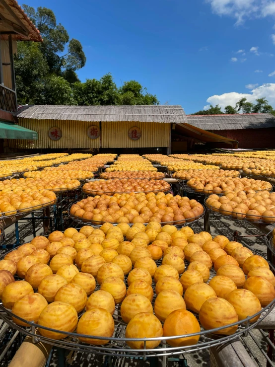 a large amount of donuts that are on display