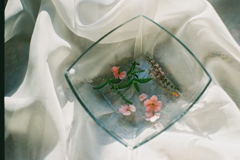 an arrangement of plants in glass bowls in the middle of a white cloth