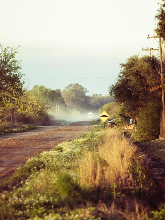 a truck is coming down a road into the woods