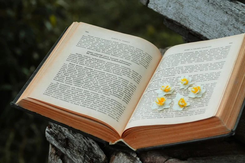 a book opened to a page with yellow flowers on it