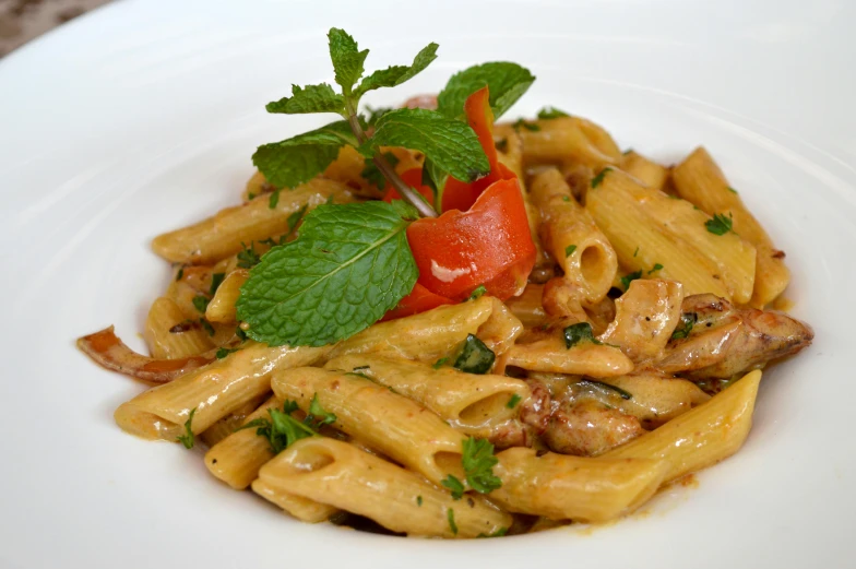 the plate holds a pasta dish with sauce, pasta and vegetables