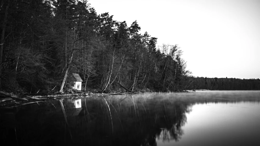 an image of a black and white landscape