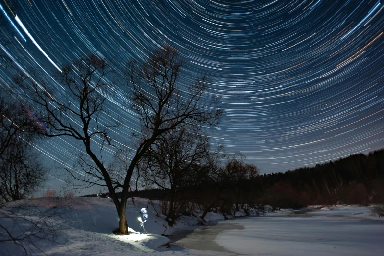 a tree that is in the snow with many stars above it