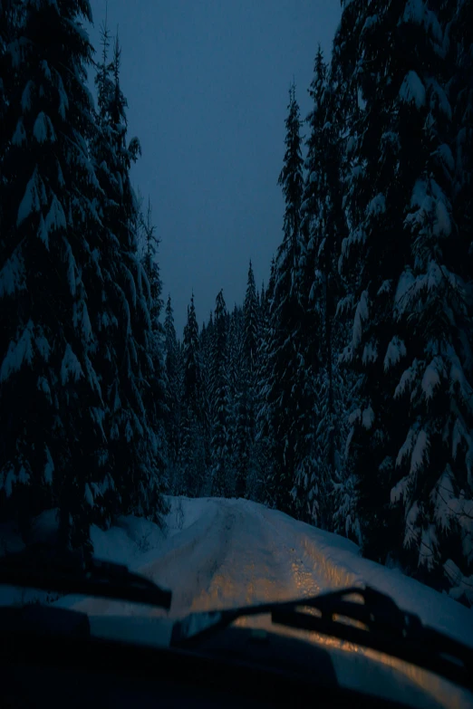 a snow covered road surrounded by trees in a snowy area