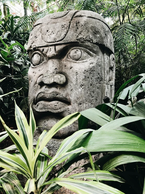 the face is sitting in the middle of a tropical garden