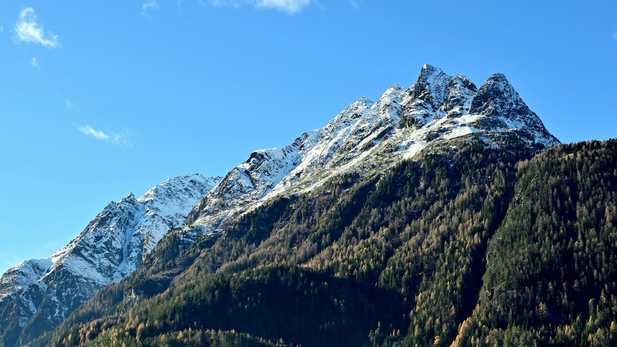 a view of the snow covered mountains with trees growing on top